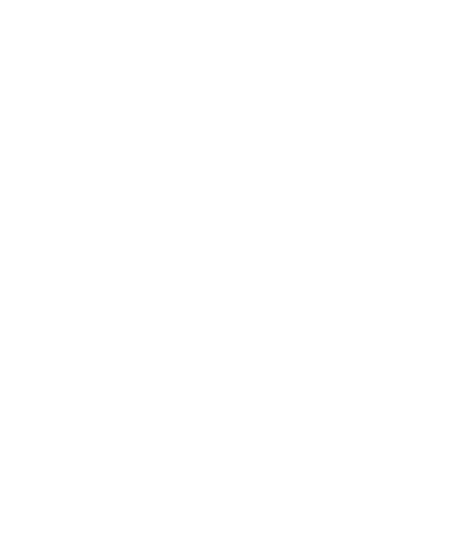 Brand Mark